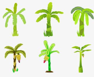 矢量绿色香蕉树免抠