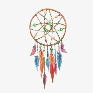 矢量装饰羽毛免抠