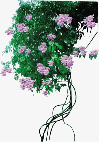 春天粉色花朵装饰植物免抠