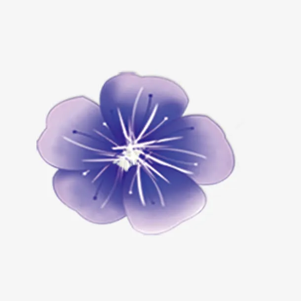紫色花朵免抠