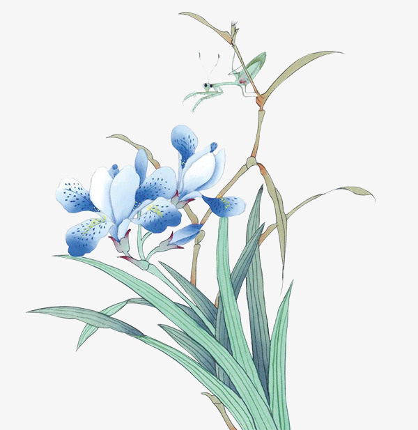 兰花图片素材元素免抠