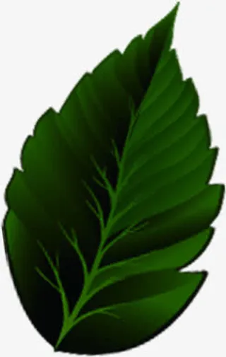 绿色春天树叶墨绿免抠