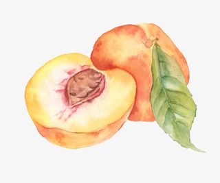 好看的水彩桃子免抠