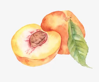 好看的水彩桃子免抠