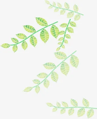 卡通手绘清新树枝免抠