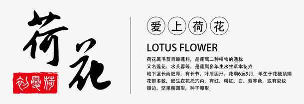 荷花艺术字免抠