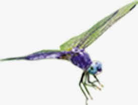 夏季蜻蜓图片素材免抠