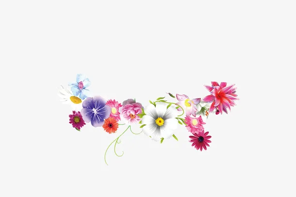 鲜花免抠