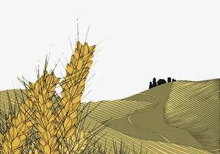 秋季收获农地插画免抠