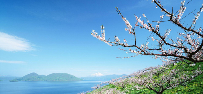 蓝色梅花冬季唯美浪漫背景图高清