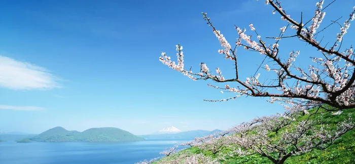 蓝色梅花冬季唯美浪漫背景图高清