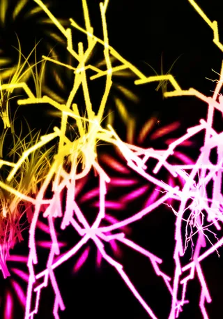 炫彩树枝背景素材高清