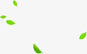 绿色卡通漂浮设计树叶春天季节免抠漂浮叶子元素