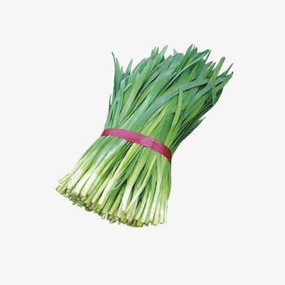 生鲜韭菜免抠