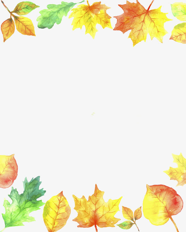 水彩枫叶免抠