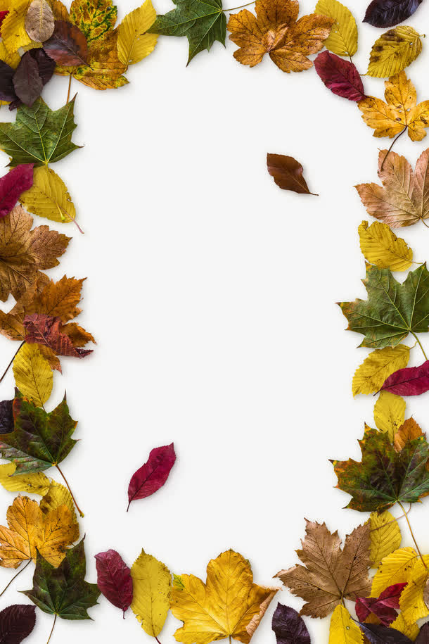 枯叶组成的花框免抠