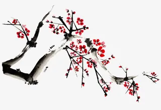 寒梅正开图片素材免抠