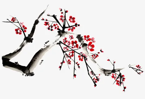 寒梅正开图片素材免抠 寒梅正开图片素材免抠