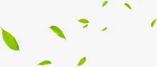 漂浮绿叶免抠
