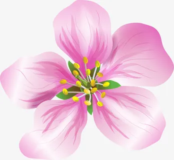 小清新粉色花朵免抠