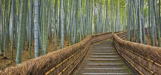 淘宝背景图高清