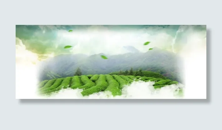 茶叶春天首页海报免抠