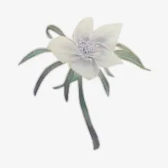 红色花瓣水彩花朵免抠