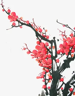 梅花免抠