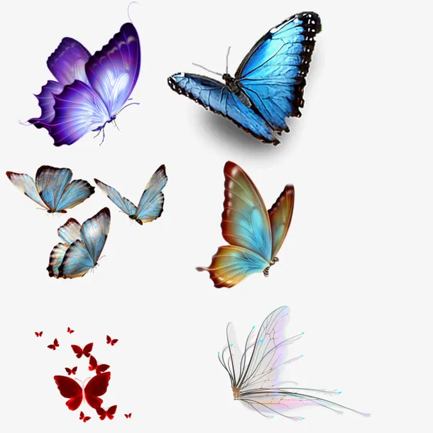 多种蝴蝶装饰小元素免抠