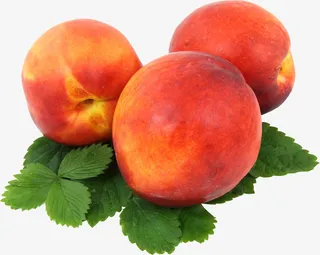 春天绿色红色桃子熟透免抠