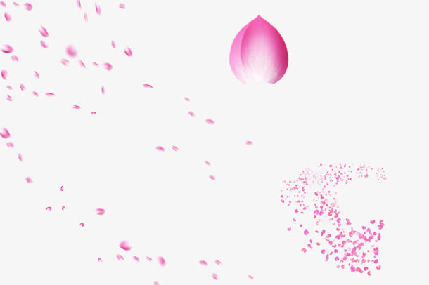 红色大花瓣小花瓣漂浮免抠