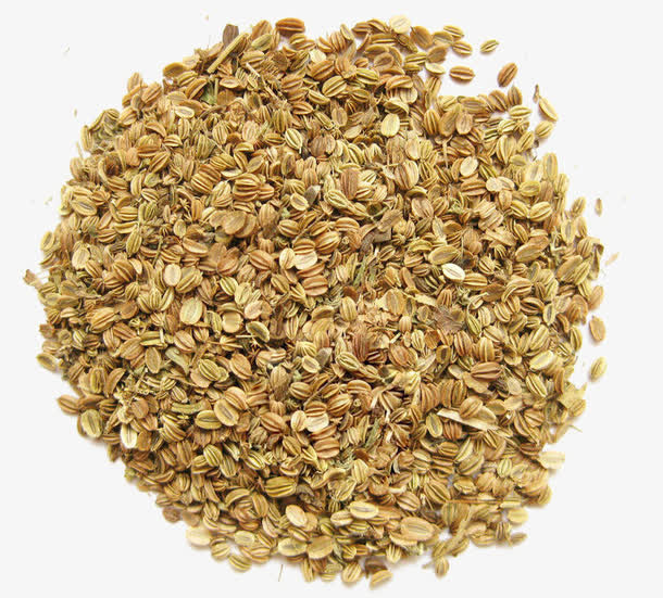 散落的蛇床子免抠