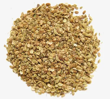 散落的蛇床子免抠