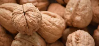 核桃背景图高清