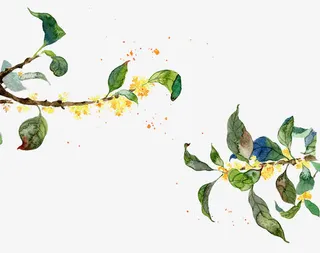 手绘精致树枝素材免抠