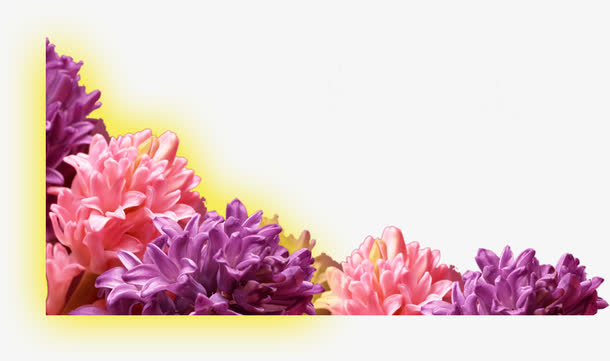 彩色节日手绘花朵免抠