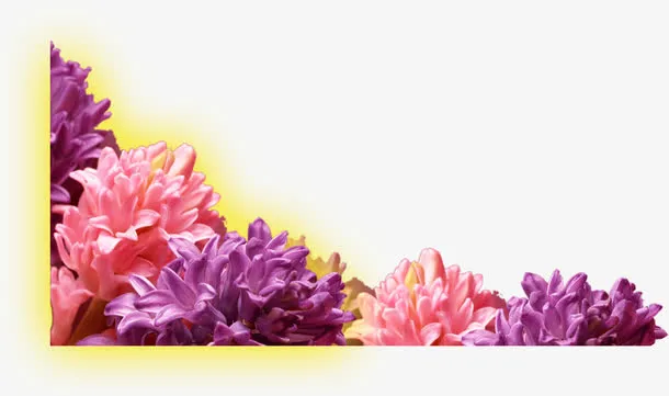 彩色节日手绘花朵免抠