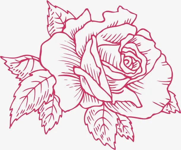 手绘玫瑰花免抠