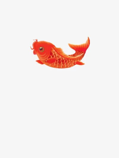 红鲤鱼免抠