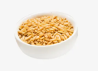 免抠素材燕麦米图片免抠