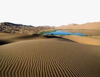 沙漠绿洲免抠