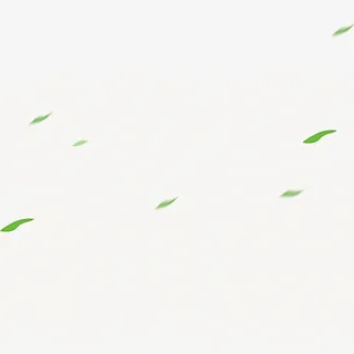 飘叶免抠