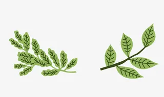 卡通树枝矢量图下载免抠