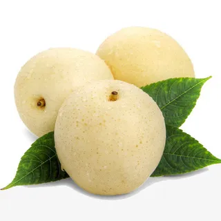 美味雪花梨免抠