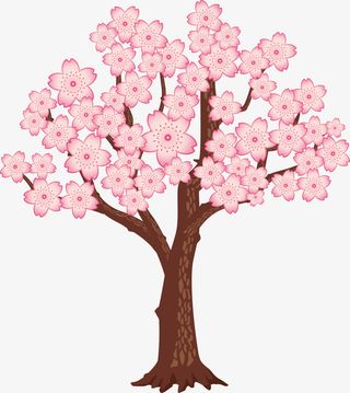 粉色美丽春季花树免抠