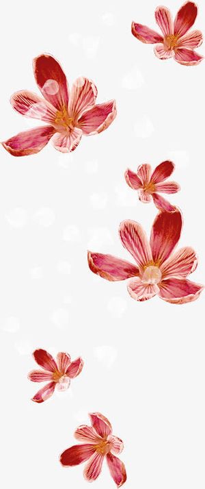 漂浮的鸢尾花免抠