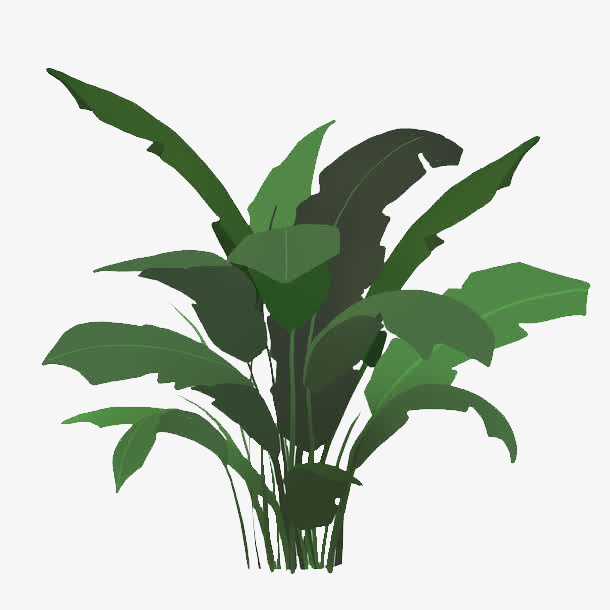 植物元素PPT装饰免抠