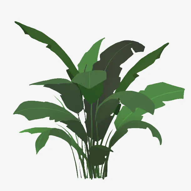 植物元素PPT装饰免抠