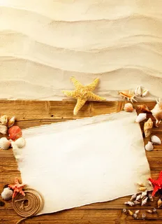 木板上的海星免抠