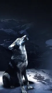 野狼H5背景高清